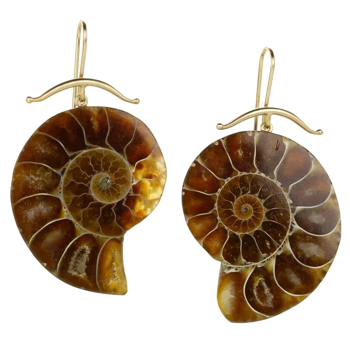 14k Large Ammonite Earrings