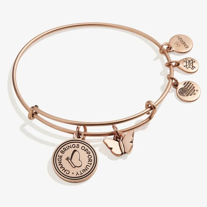 ‘Change Brings Opportunity’ Butterfly Duo Charm Bangle