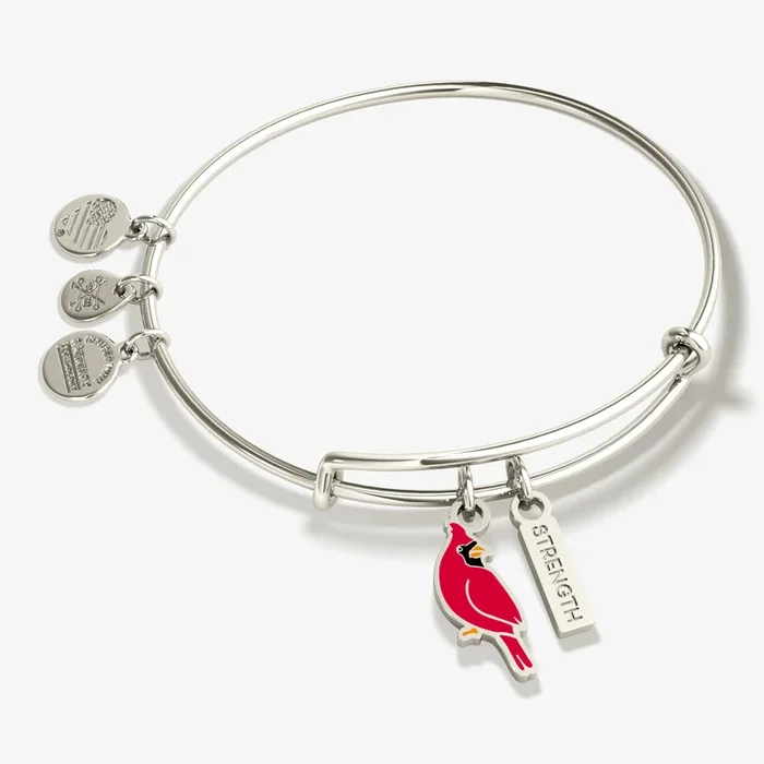 ‘Strength’ Cardinal Duo Charm Bangle Bracelet