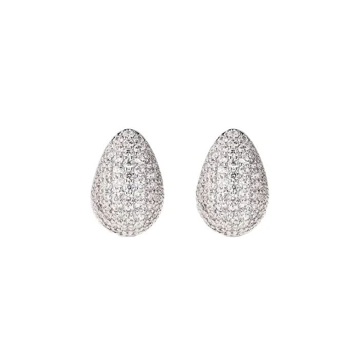 Adler Earrings in Silver