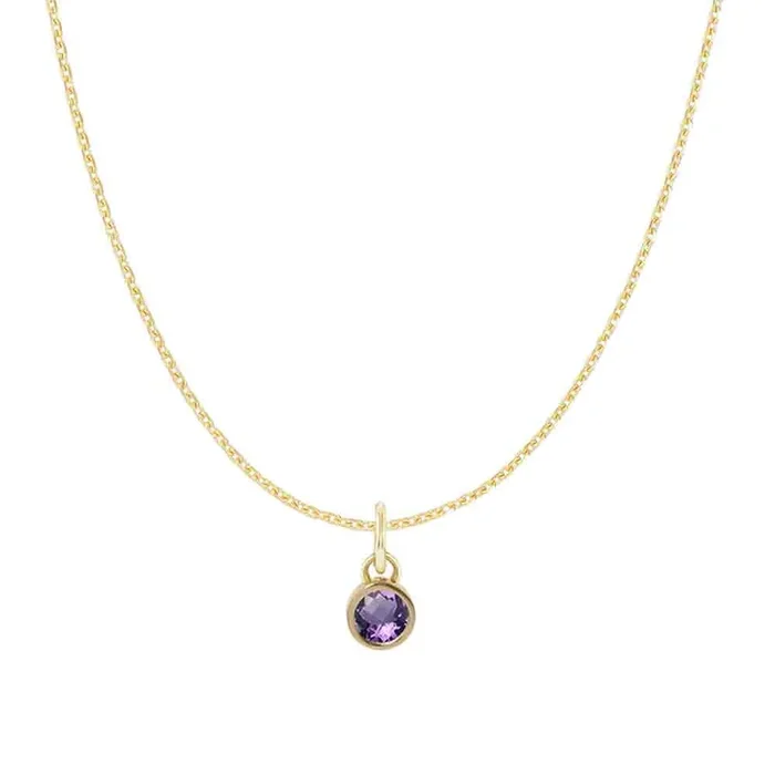 Amethyst Charm Necklace