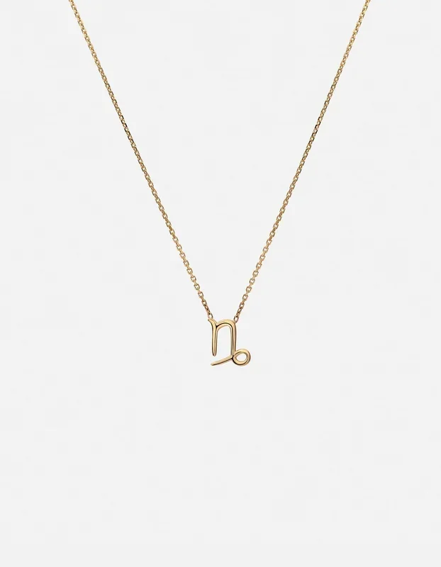 Capricorn Astro Pendant Necklace, 14k Gold