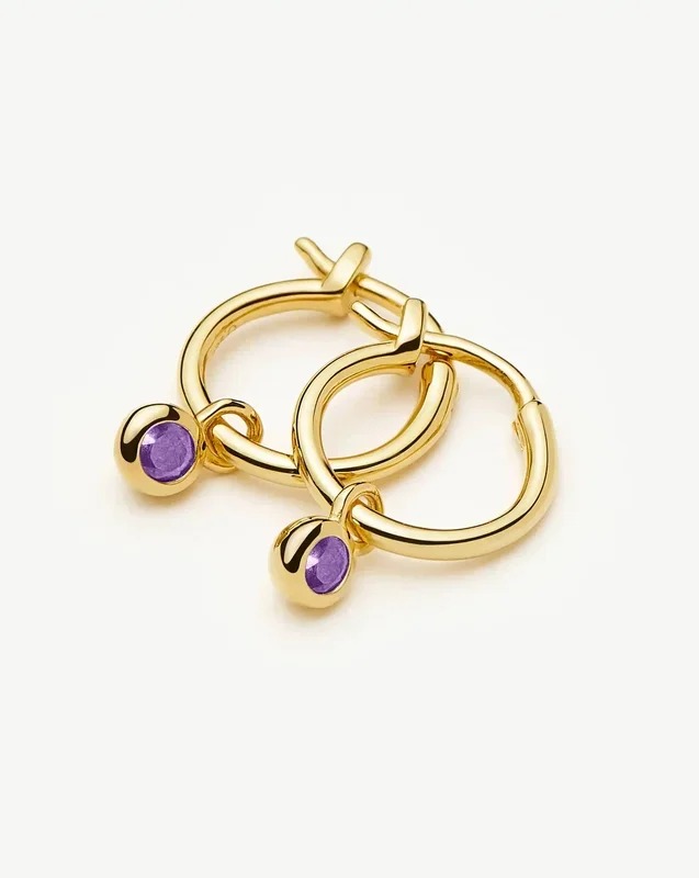 February Birthstone Mini Charm Hoop Earrings | 18ct Gold Vermeil/Amethyst