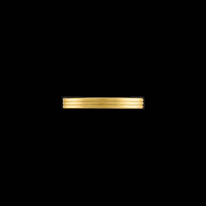 Filum Ring