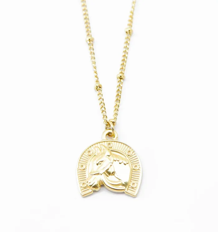 Horseshoe Necklace