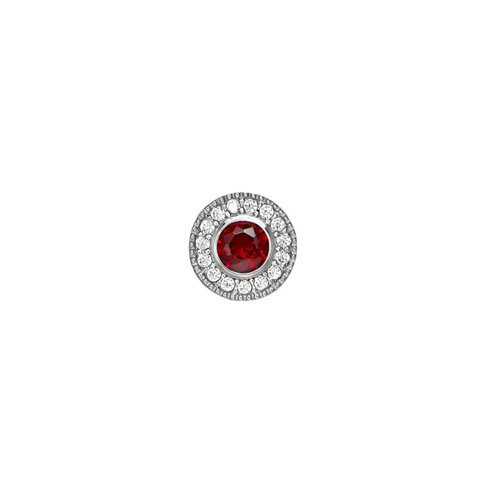 January Birthstone Bracelet Charm