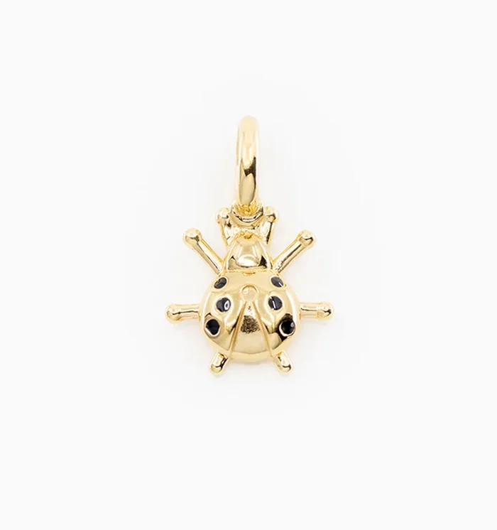 Lady Bug Charm
