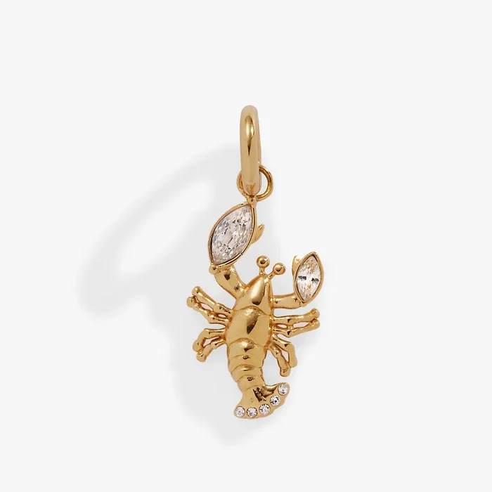 Lobster Interchangeable Charm