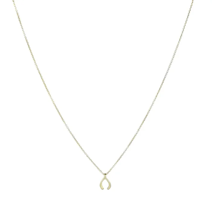 Micro Wishbone Pendant Necklace