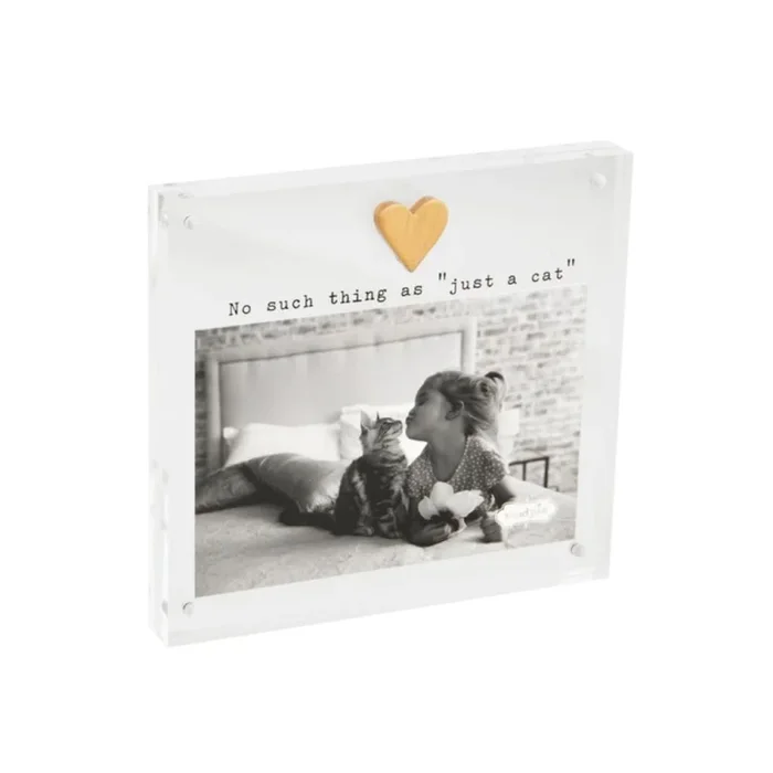 Mud Pie Acrylic Cat Frame – 4×6