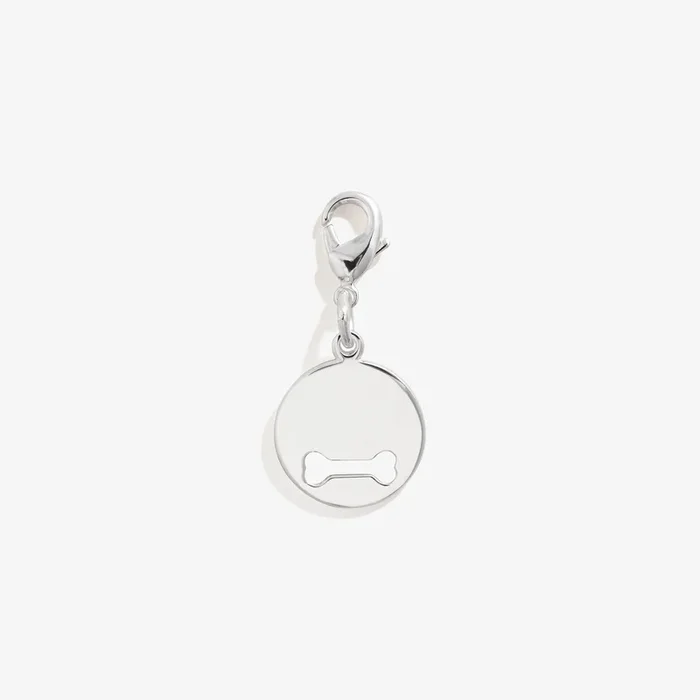 Pet Collar Charm