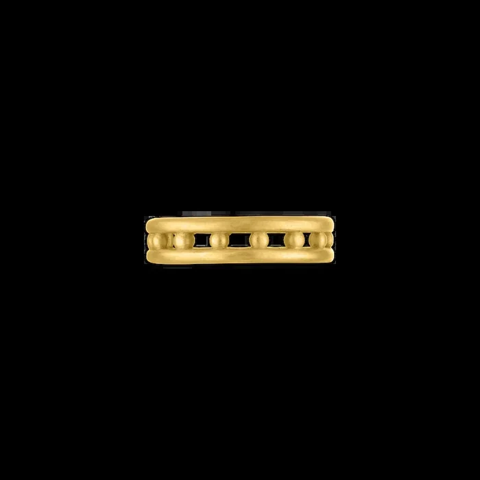 Seed Band