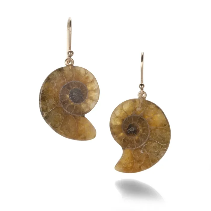 Small Ammonite Earrings