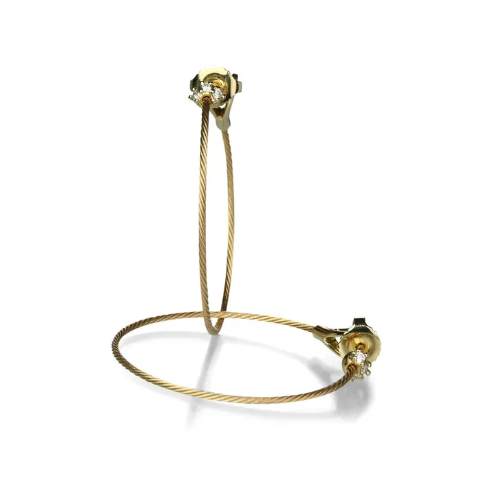 Small Wire Hoop Earrings