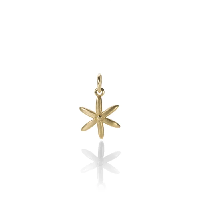 Star Pendant