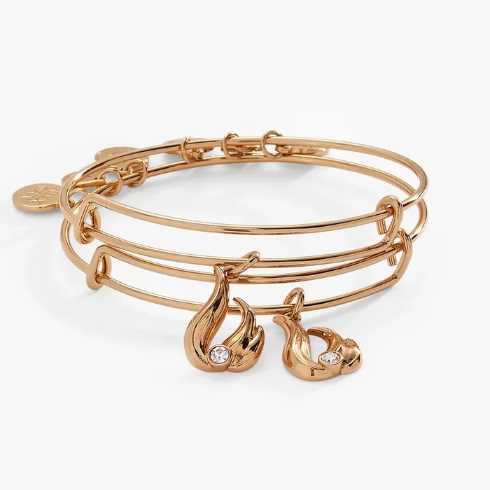 Twin Flame BFF Bangle Set of 2