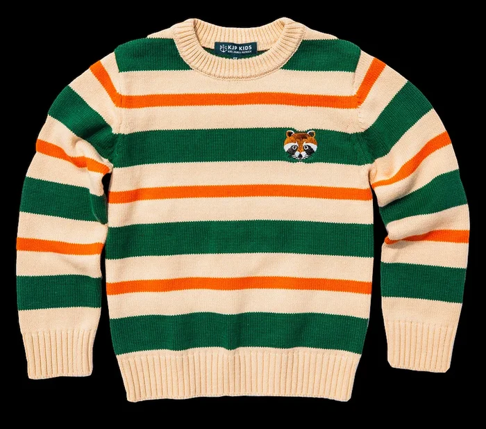 Wilderness Raccoon Striped Kids Sweater