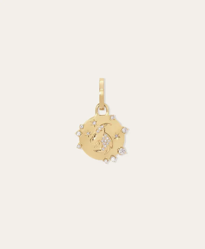 Zodiac Diamond Capricorn Hinged Charm